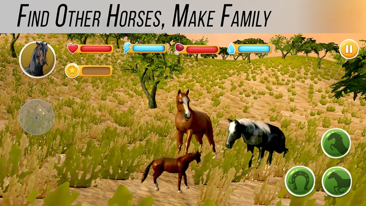 Arabian Horse Simulator Full