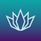 Create music with Lily, a playful musical experience for people of all ages and musical abilities