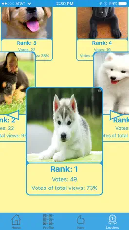 Game screenshot Pet Pageant apk