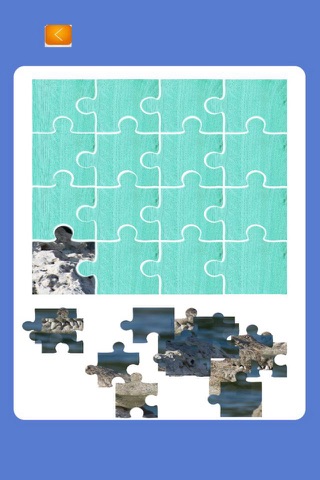 Crocodile Animal Puzzle Animated For Toddlers screenshot 2
