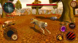 Game screenshot Wild Cheetah Simulator Game - Animals Survival 3d hack
