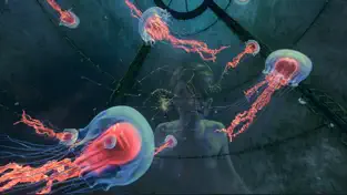 Screenshot 3 VR BeefeaterXO iphone
