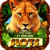 Rainforest Wild Animals Slots – Combo 777 Casino's