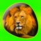 Icon Animals 360 - Wildlife