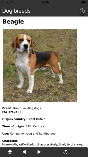 Breeds of Dogs(圖3)-速報App