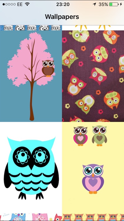 cute owls wallpaper