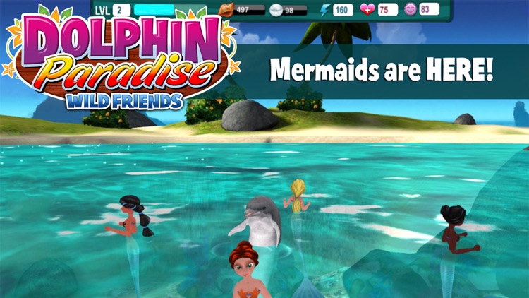Dolphin Paradise - All Access
