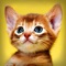 ●●● Best Pet Wallpaper & Background app in the app store ●●●