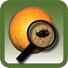 Top 18 Education Apps Like NPDN Citrus Pests - Best Alternatives
