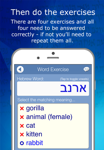 Learn Hebrew Audio FlashCards screenshot 4