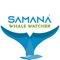 Samana Whale Watcher, is an app which you can take pictures of Humpback Whales and then your sighting will be approved by the admin of CEBSE, also you can learn about humpback whales in the section of How Can I report a sighting, you can use maps to see where the sightings were taken, read about some topics about whales and much more