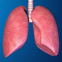 Human Body Parts : Lungs Quiz PC 용