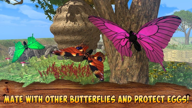 Forest Butterfly Simulator 3D