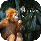 Top 39 Entertainment Apps Like Monkey Sounds - Funny Sounds for kid - Best Alternatives