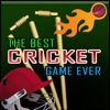 The Best Cricket Game Ever