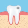Get Dental Anatomy Quizzes for iOS, iPhone, iPad Aso Report