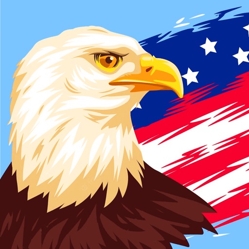 Independence Day: 4th of July Icon