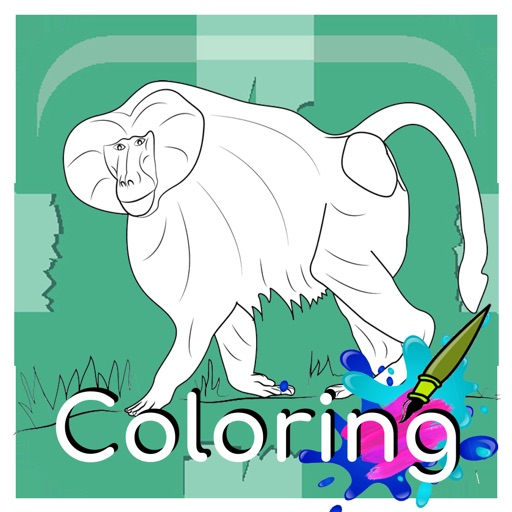 Baboon Coloring For Kid