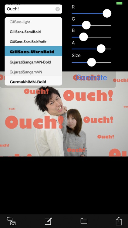 WordFill Camera