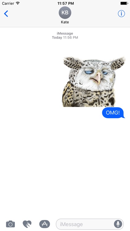 Owl - Daily Moods