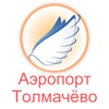 Tolmachevo Airport Flight Status