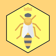Hexes Board Game: Hive conquer