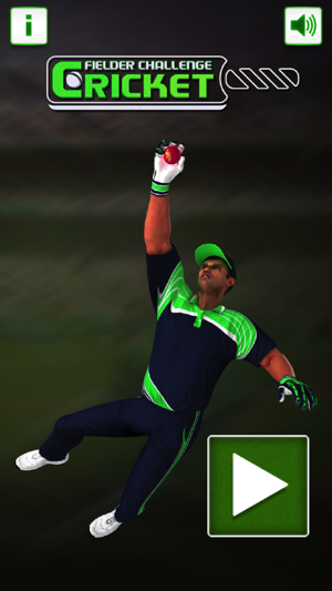 Cricket Fielder Challenge Pro(圖1)-速報App