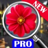 hidden object: The enchanted city Pro