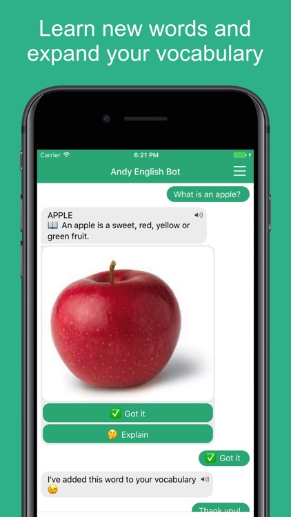 Andy - English Chat, Learn and Practice with Robot screenshot-4