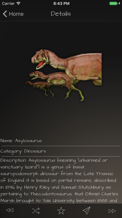 Dynosaurs Guide.