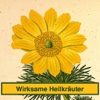 Wirksame Heilkräuter