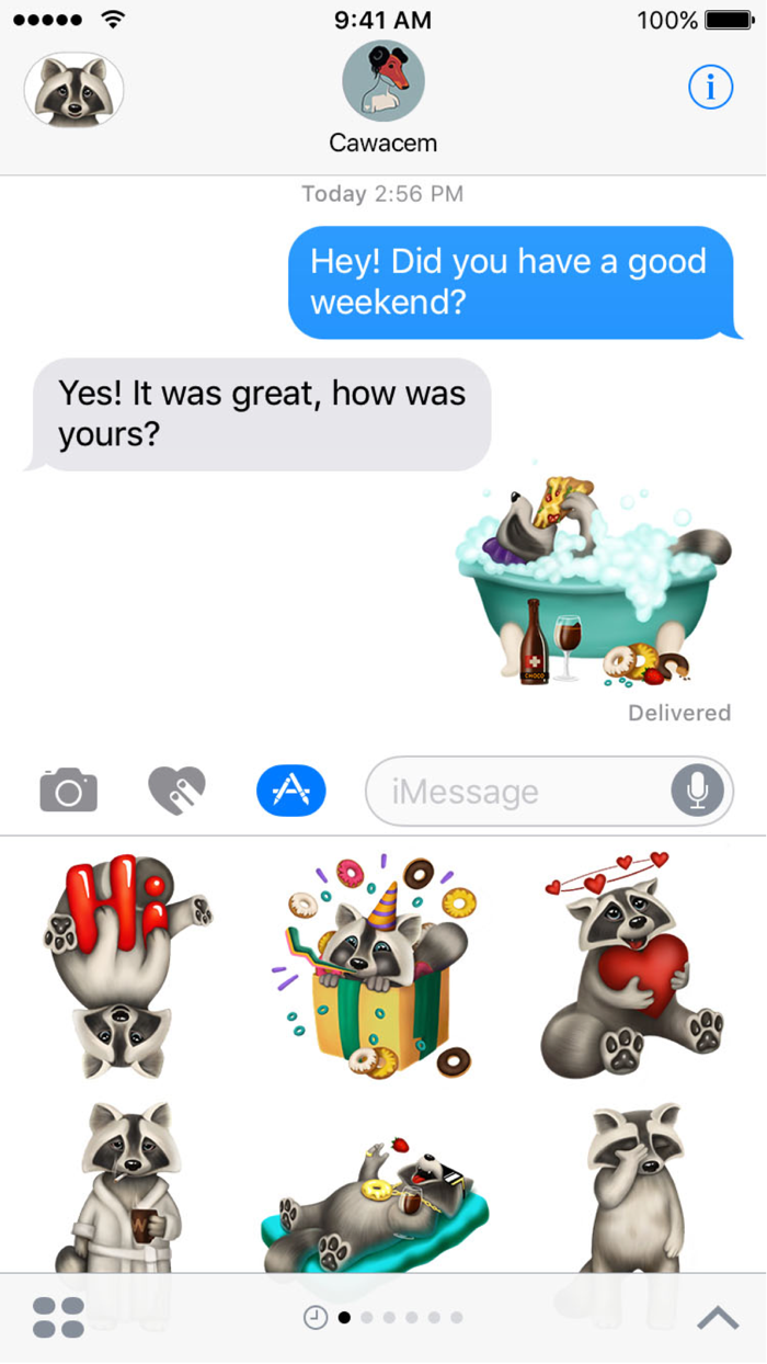 Boo the Raccoon by Watty