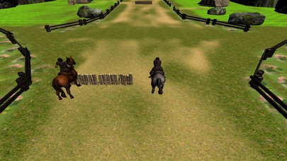 Crazy Horse Racing Champion screenshot 4