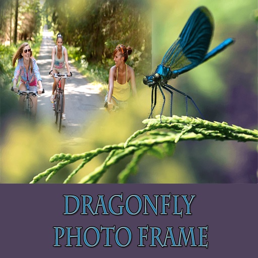 Dragonfly HD Photo Collage Frame icon