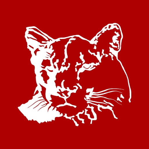 Crestview Schools Cougars by Crestview Local Schools