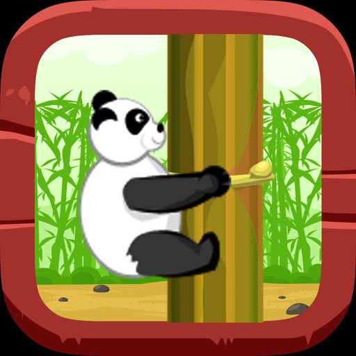 Timber Panda Climb by Ritesh Bhattarai