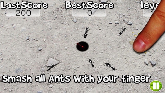 Squish these Ants(圖2)-速報App