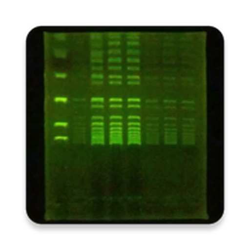 GelCAP for PC Windows 7,8,10,11