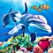 Dive into the virtual ocean of Tap Oceans Reef Life, grow and care for an aquatic wonderland of marine creatures from colorful tropical fish to predatory sharks and massive whales