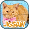 Beautiful cat jigsaw puzzle games for kids toddles