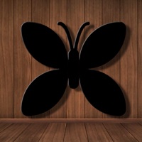 Collect Insect Match