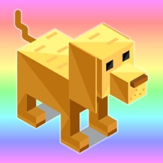 Activities of Crossing the city