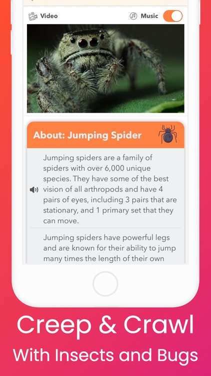 YipYap - Animal Discovery screenshot-7