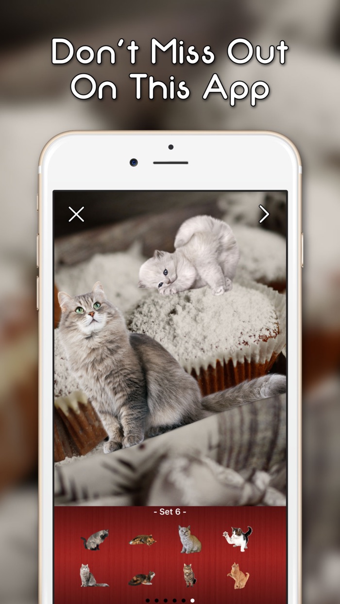 KittyGram - Cutest Cats Photo Decorator Free