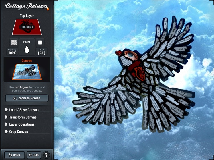 Collage Painter screenshot-3