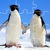 Puzzle Picture Penguin Games Jigsaw For Kids
