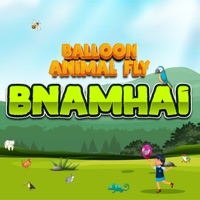 Bnamhai Balloon Animal Fly