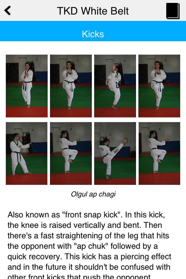 The Taekwondo White Belt screenshot 2