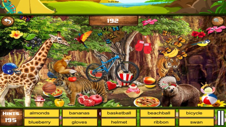 Animal Safari Hidden Object Games screenshot-3