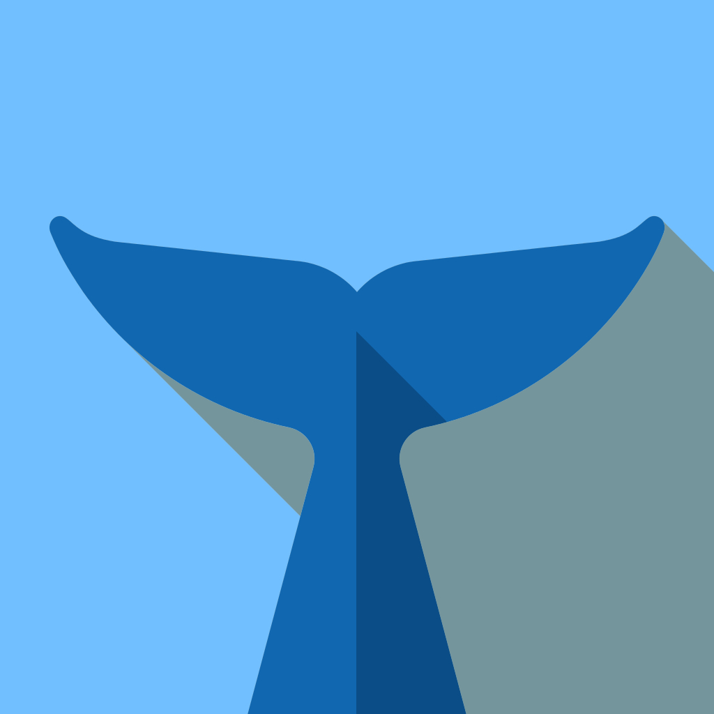 Get Flipper - Mirror Image Editor for iOS, iPhone, iPad Aso Report